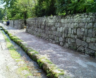 ���N�Ԃ肩��