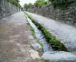 �����ɗ���Ă�