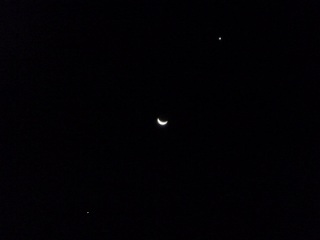 �����ƌ��Ɩؐ��B