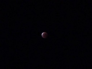 �F�����H�B